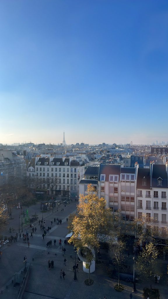 View from the Centre Pompidou Viewing Platform